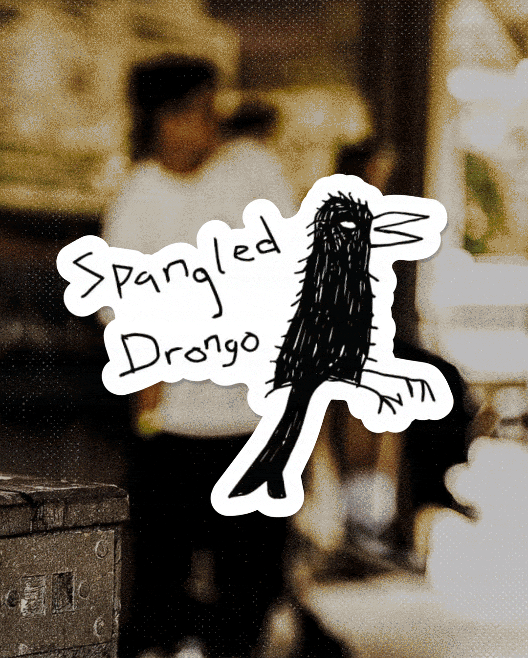 Drongo Sticker